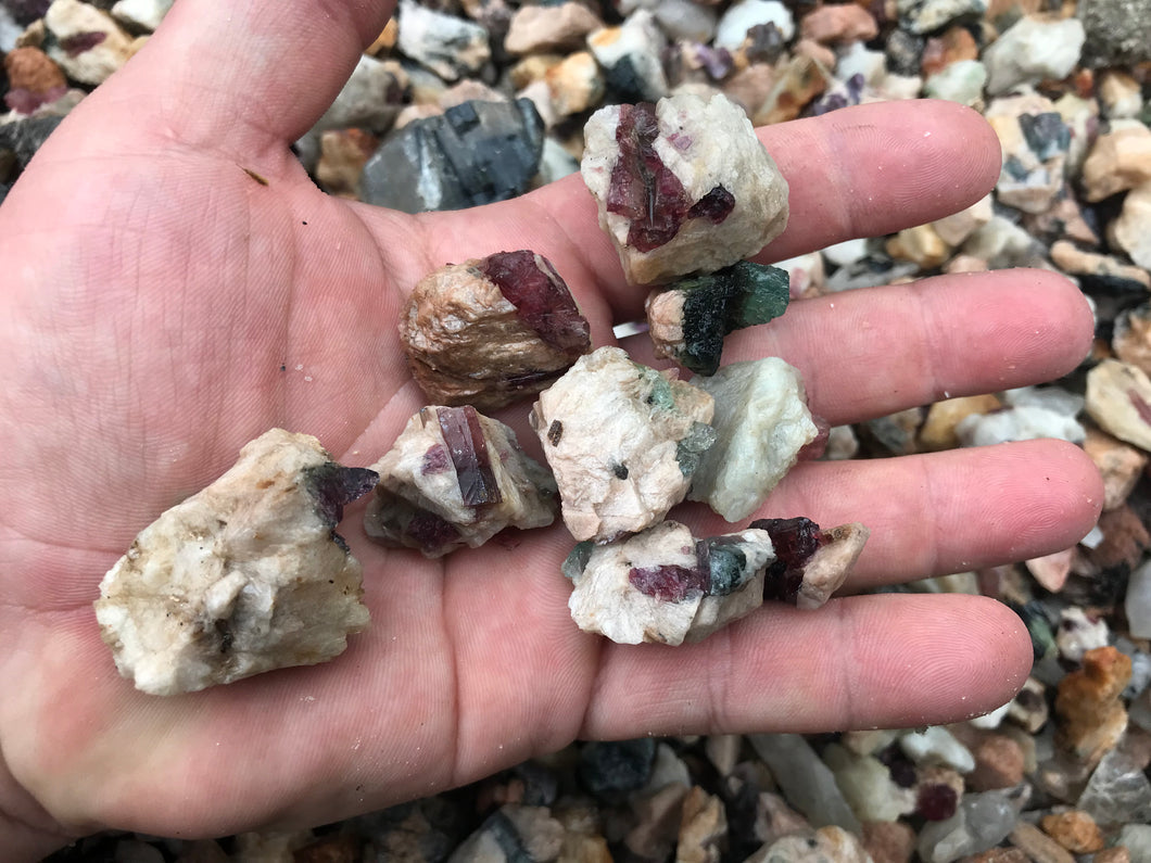 Tourmaline pink and green medium size 1 pound Roughstone.Rocks LLC